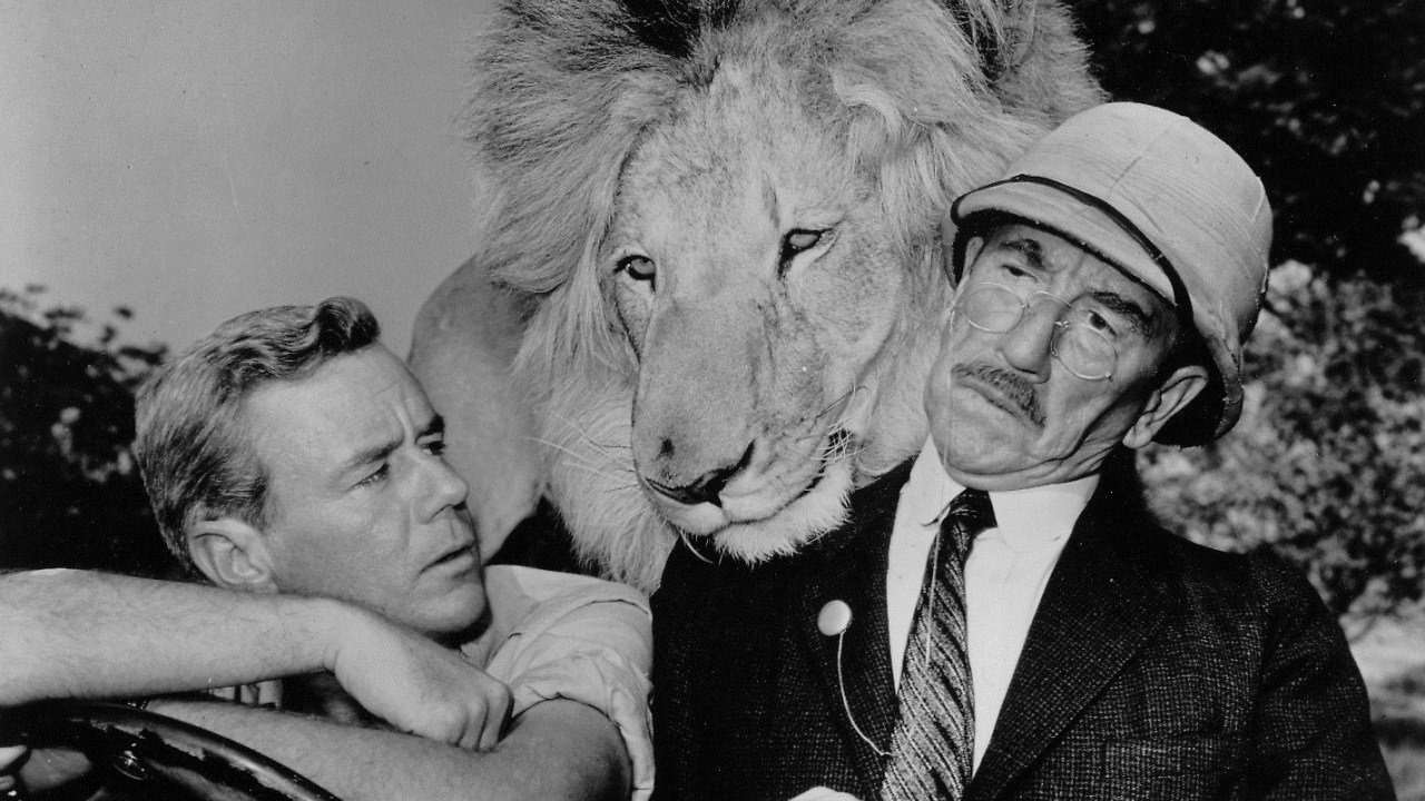 Clarence, the Cross-Eyed Lion