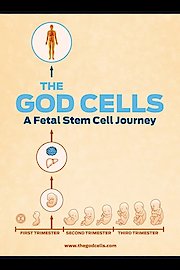 The God Cells