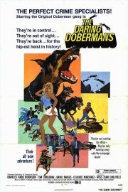 The Daring Dobermans