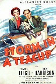 Storm in a Teacup