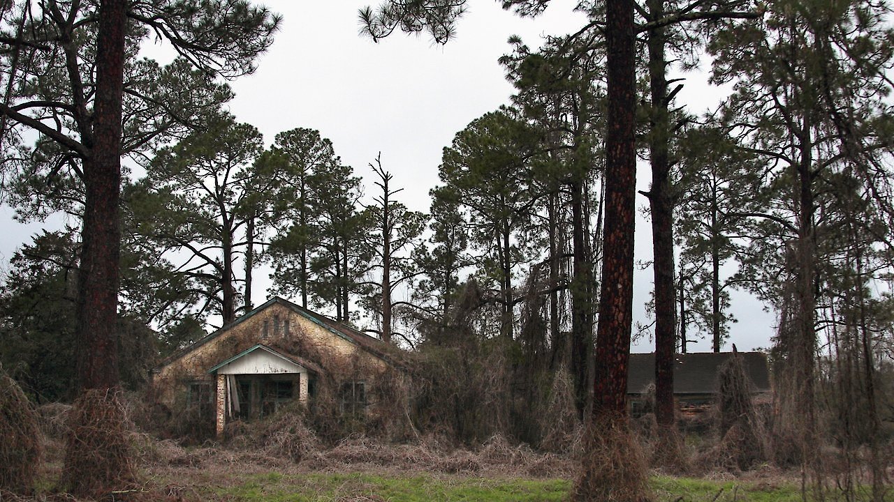 Deadly Secrets: The Lost Children of Dozier