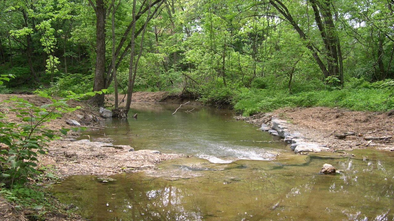 Spring Creek