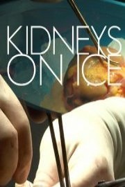 Kidneys On Ice