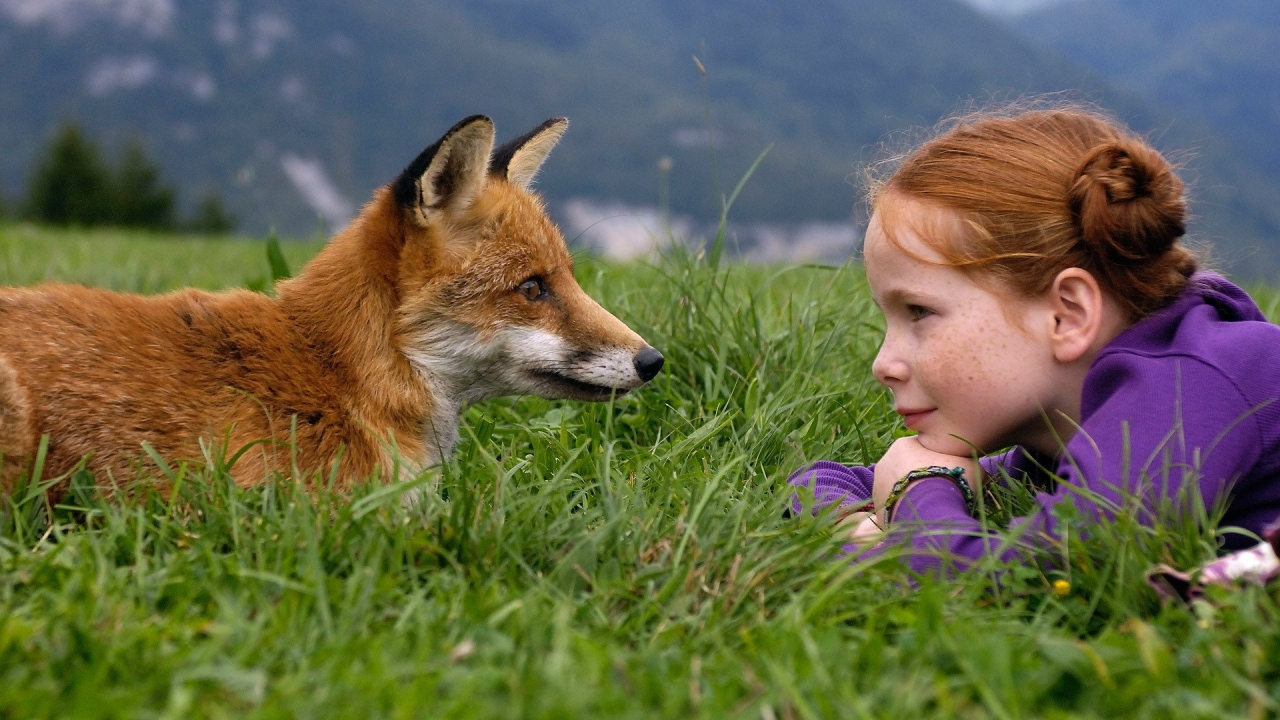The Fox and the Child