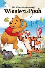 The Many Adventures of Winnie the Pooh