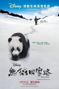 Trail of the Panda