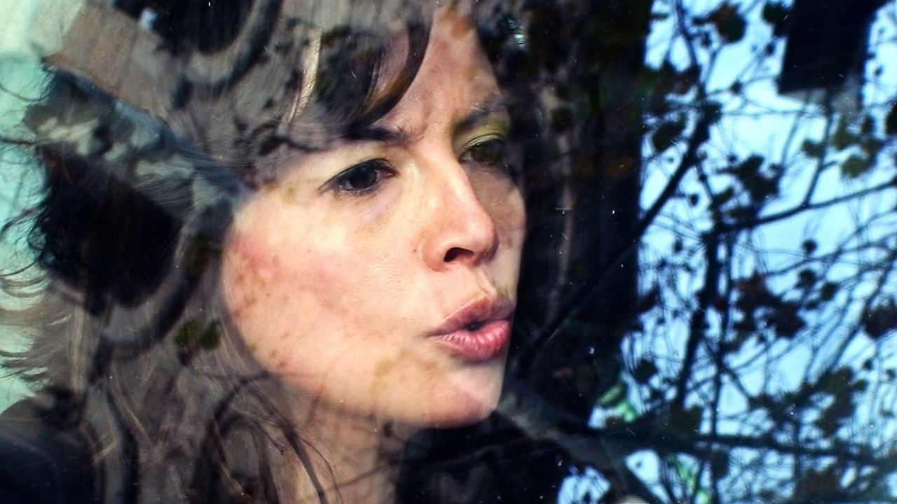 The Academy Of Muses