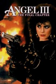 Angel 3: The Final Chapter