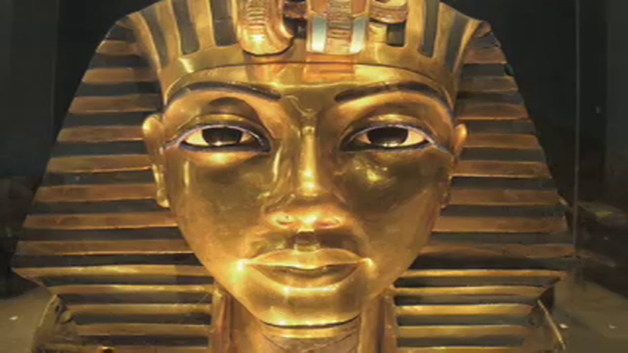 Visions And Miracles Out of The Land of Egypt