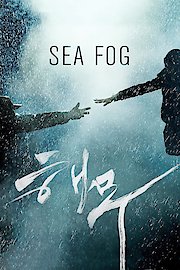 Sea Fog