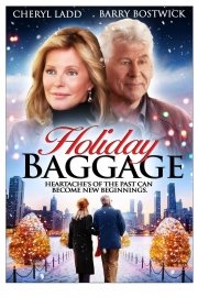 Holiday Baggage