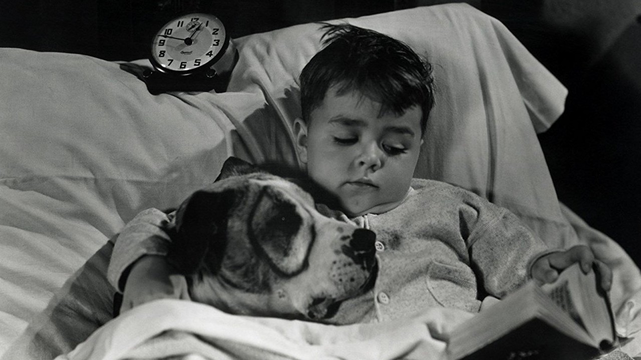 The Little Rascals: The Best of Pete the Pooch Collection