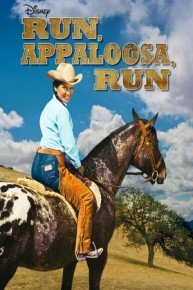 Run, Appaloosa, Run