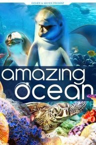 Amazing Ocean