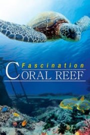 Fascination Coral Reef: Mysterious Worlds Under Water