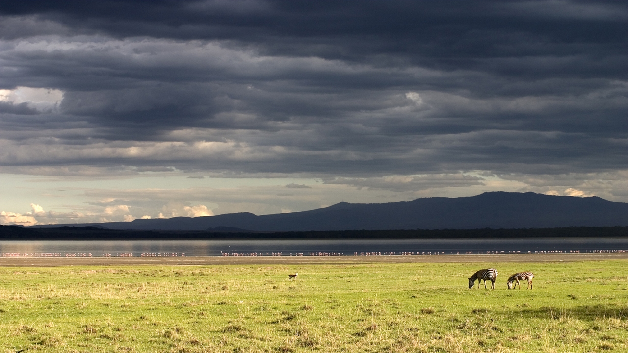 Nature Parks NAKURU Kenya