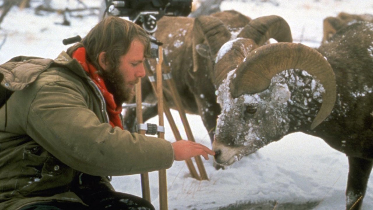 Wild America: Tender Times