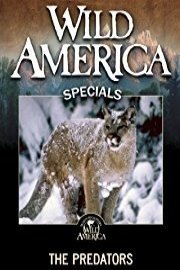 Wild America: The Predators