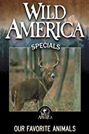Wild America: Our Favorite Animals