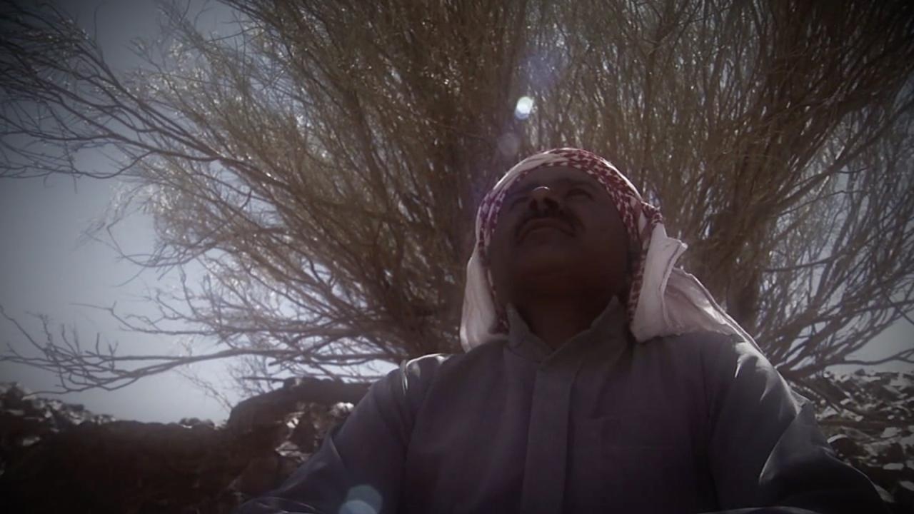 That the World May Know, Volume 9: I Led You Like a Bride