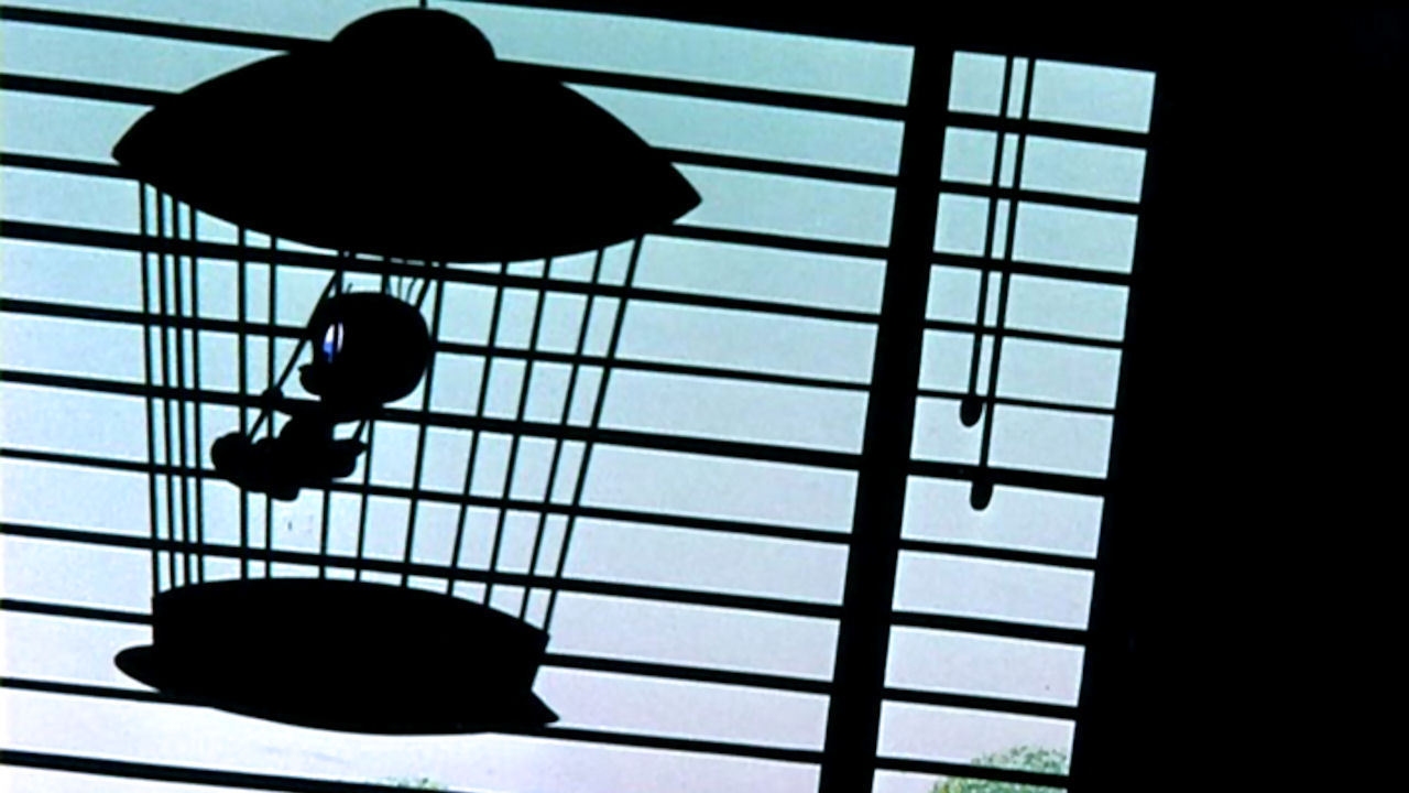 Academy Awards Animation Collection: Birds Anonymous