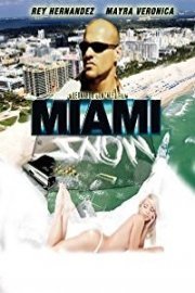 Miami Snow