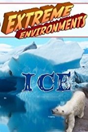 Extreme Environments Ice