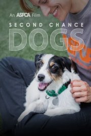 Second Chance Dogs