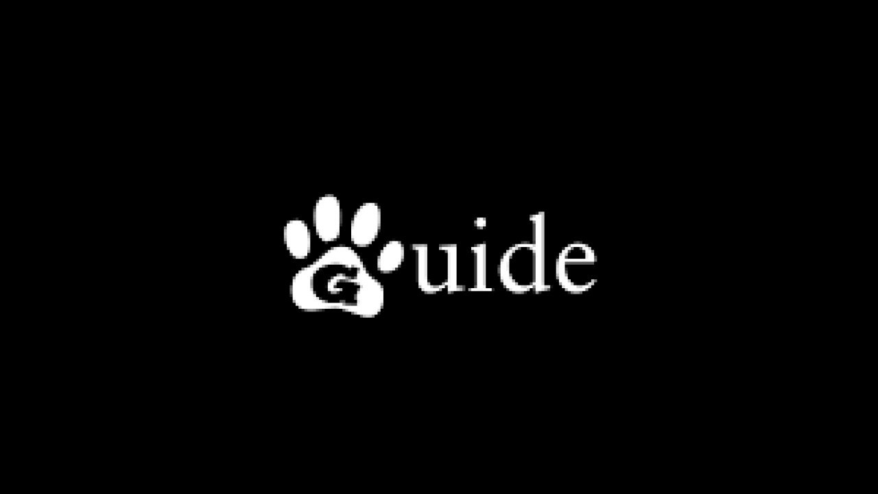 Guide