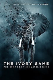 The Ivory Game