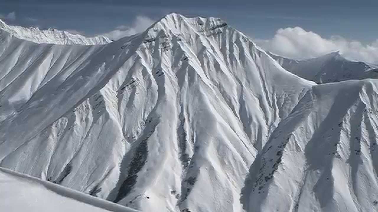 Junkies on a Budget: Satori