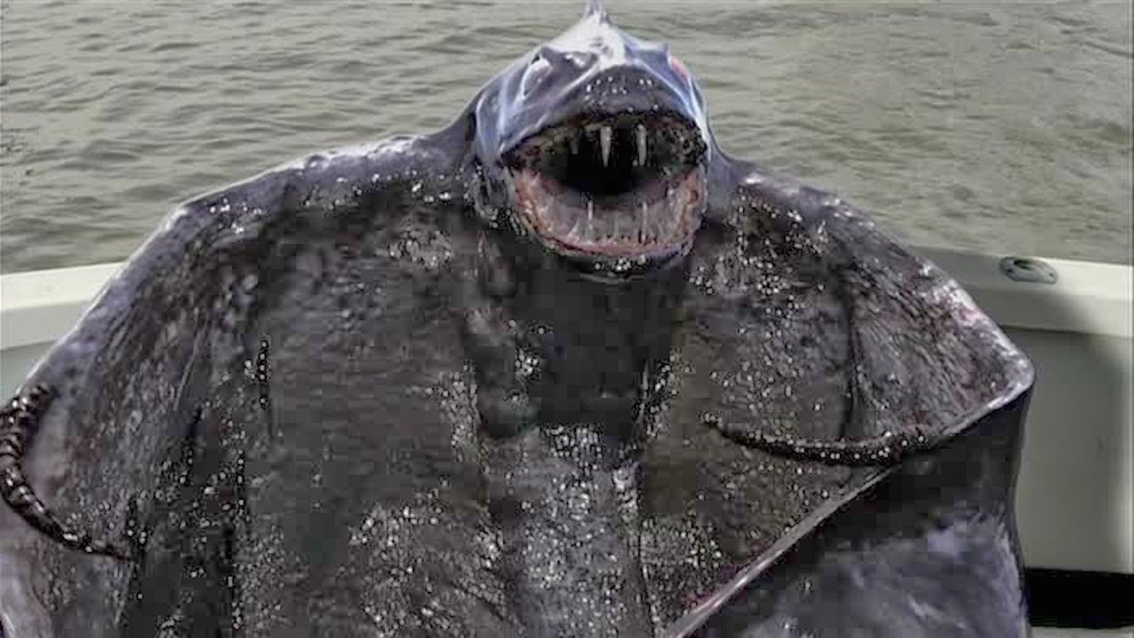 Beast of the Bering Sea