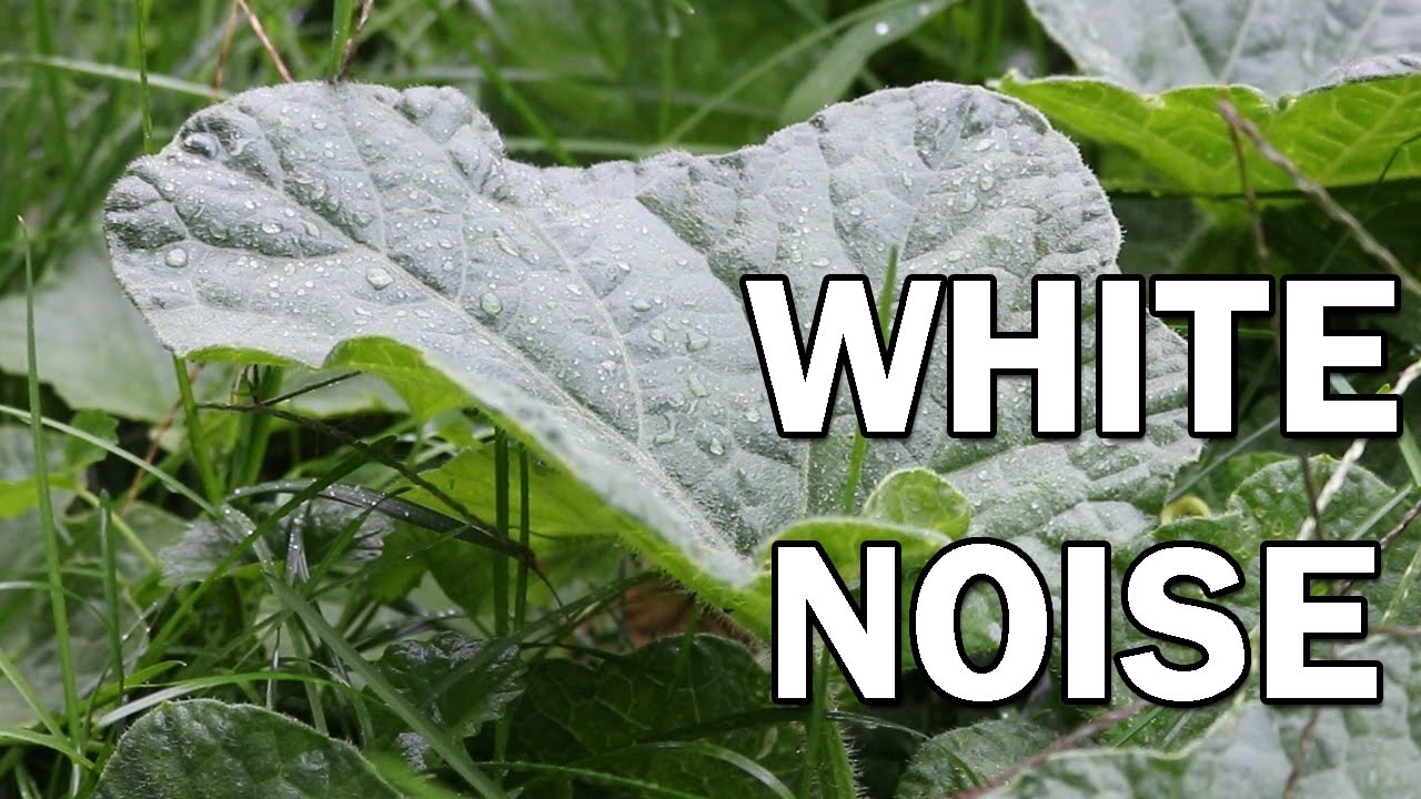 Rain Storm White Noise for Sleep 10 Hours ASMR