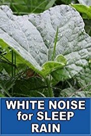 Rain Storm White Noise for Sleep 10 Hours ASMR