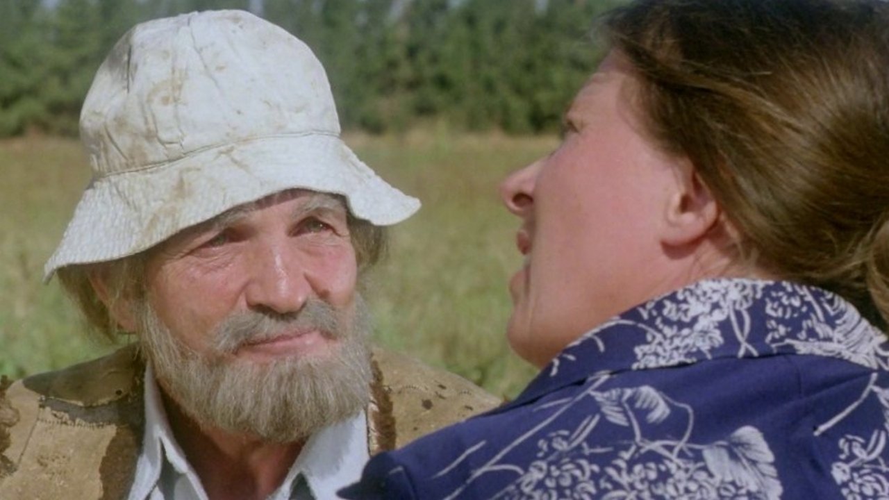 The Fox in the Chicken Coop