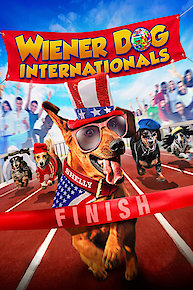 Wiener Dog Internationals