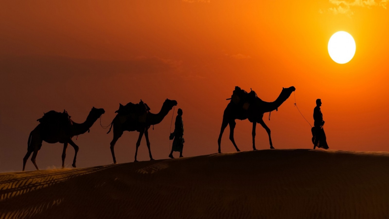 Passport to Adventure: A Camel Safari in the Thar Desert