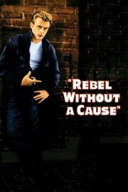 Rebel Without a Cause