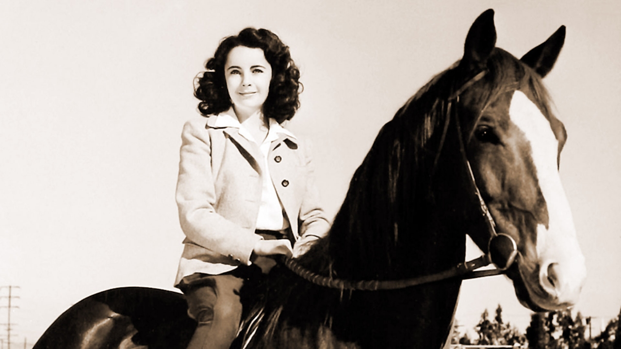 National Velvet