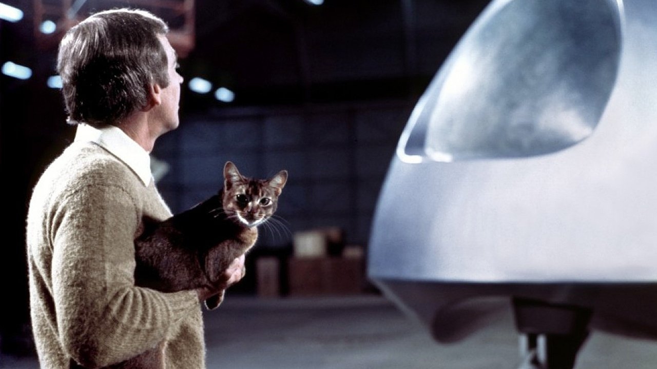 The Cat From Outer Space