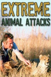 Extreme Animal Attacks