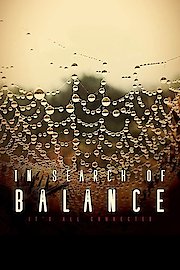 In Search of Balance