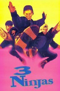 3 Ninjas