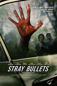 Stray Bullets