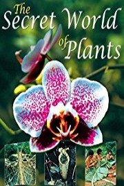 The Secret World of Plants