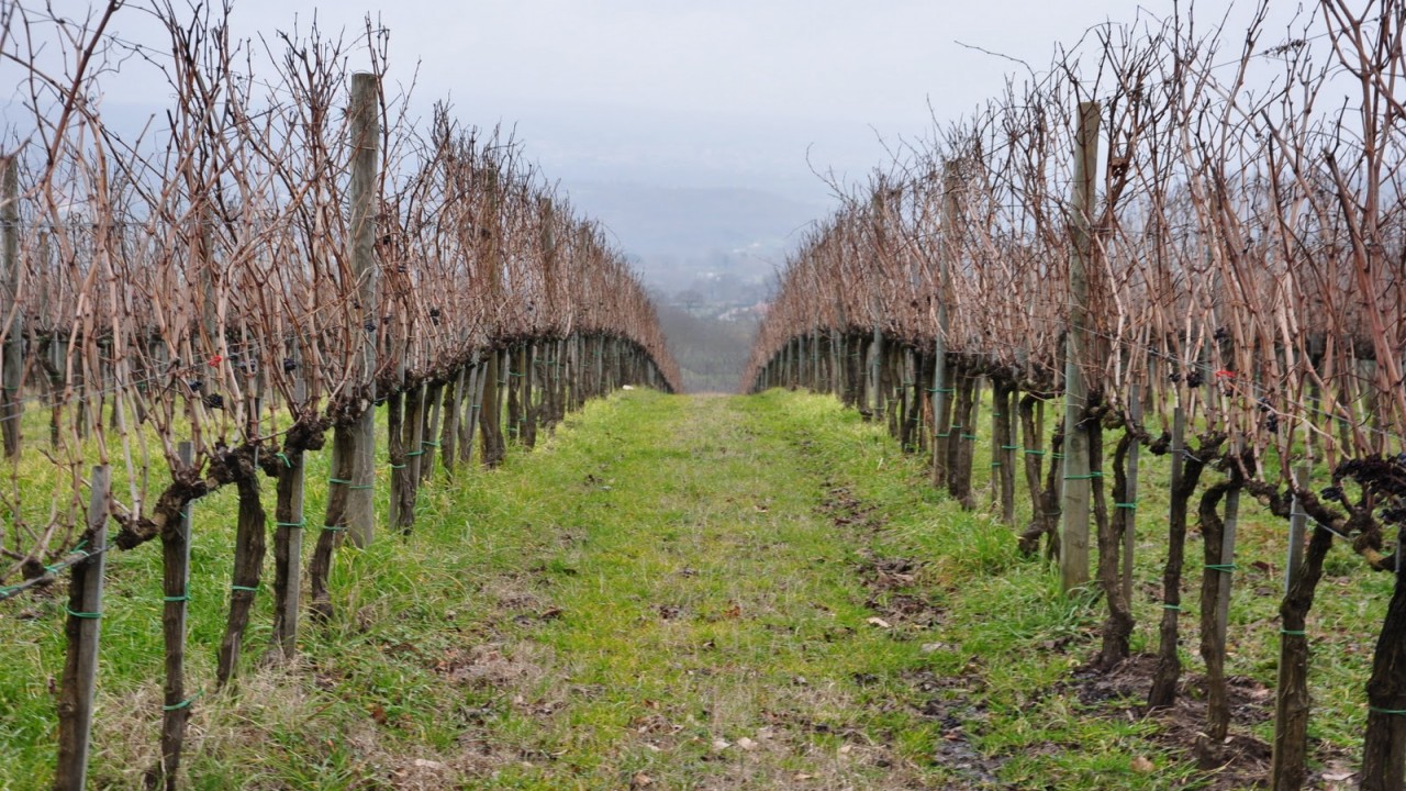 Culinary Travels Campania Italy