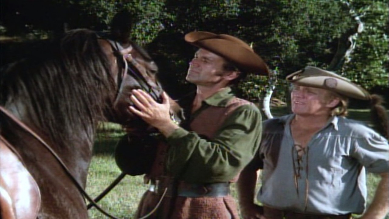 Justin Morgan Had a Horse