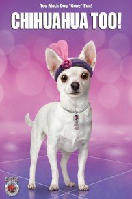 Chihuahua Too!