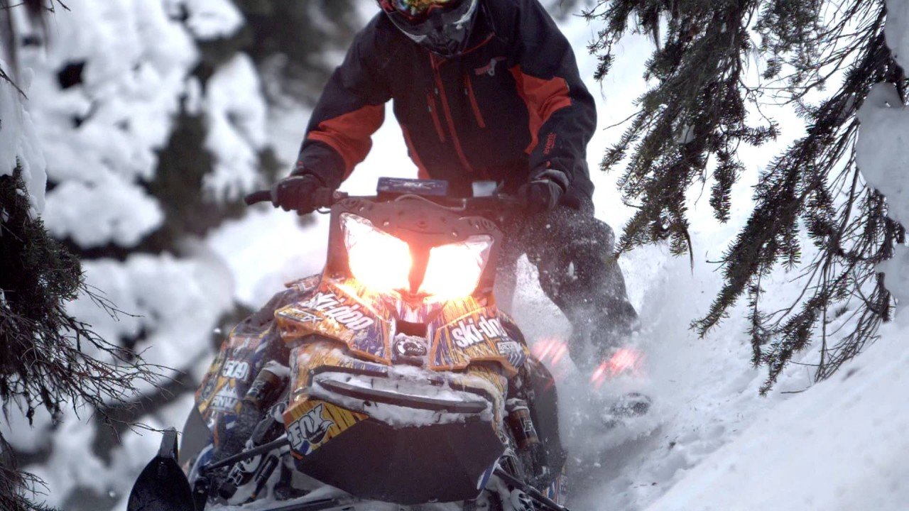 Counter Balance: 208 Productions