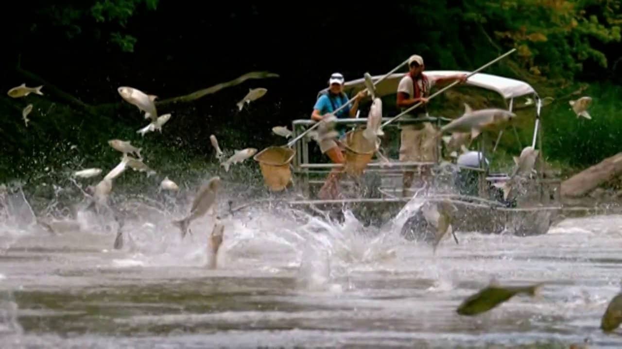 Carpe Diem: A Fishy Tale